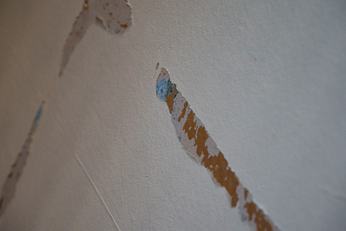 Water Extraction service in Orlando, FL